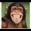 apesthegreat329